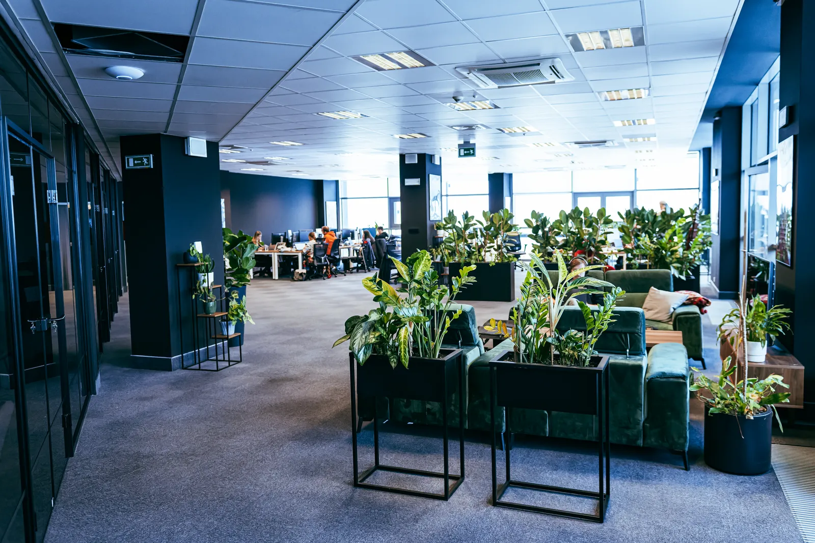 Kraków HQ — lounge area with plants